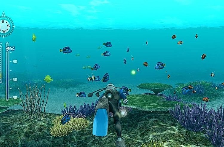 Play the Fish Game Simulation — The Cloud Institute for Sustainability  Education